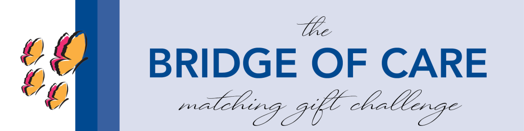 Bridge of Care Banner