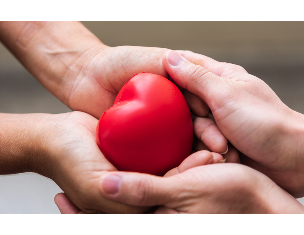 Hands Holding Heart