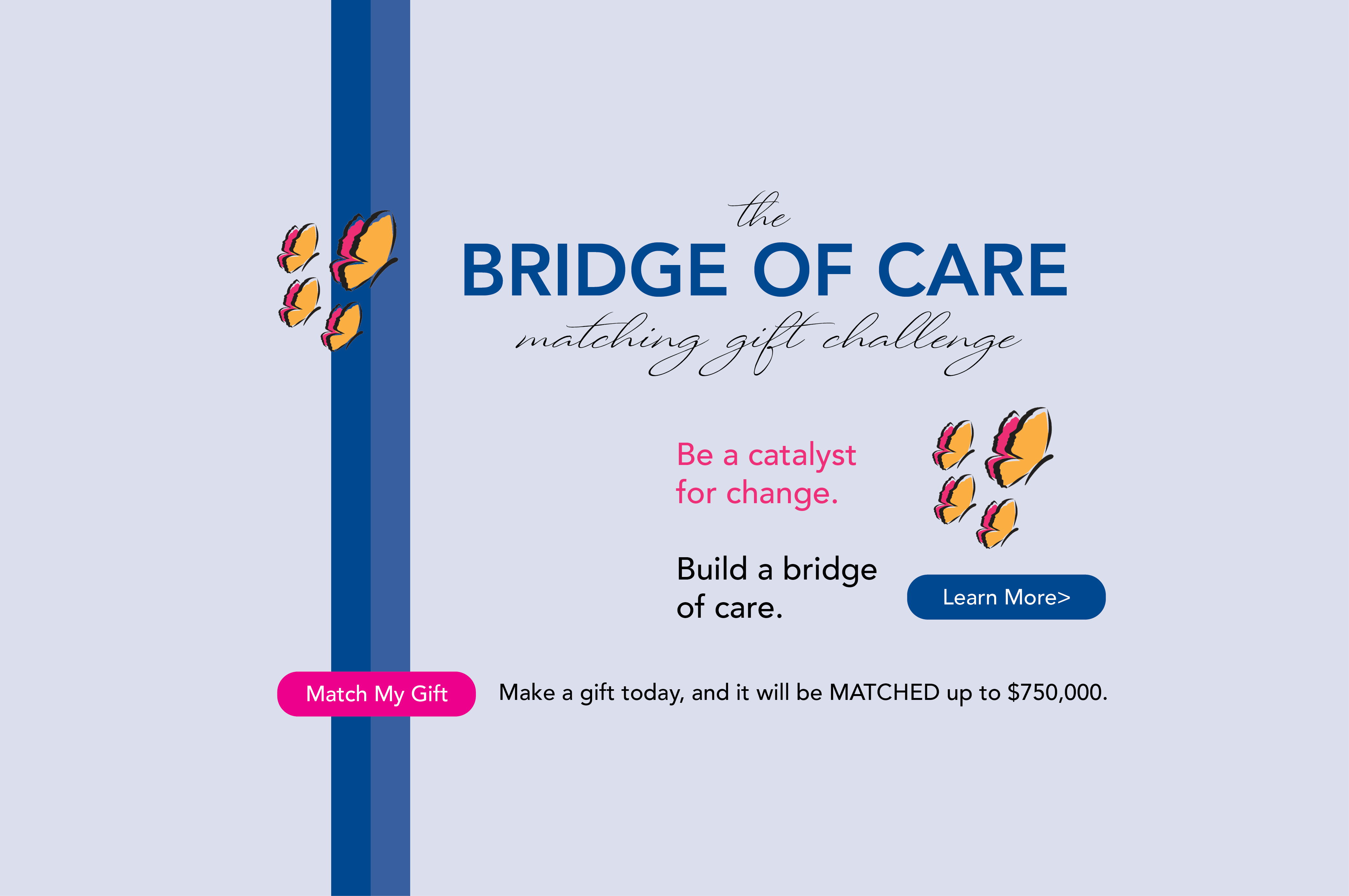 Bridge of Care Homepage Slider